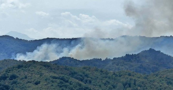 Cairo, incendio boschivo in località Vignaroli: intervento dei vigili del fuoco