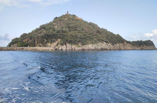 Albenga, porto rifugio della Gallinara, approvato il nuovo regolamento. Tomatis: "Un patrimonio da rendere fruibile" Albenga, porto rifugio della Gallinara, approvato il nuovo regolamento. Tomatis: "Un patrimonio da rendere fruibile"