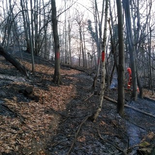 Il luogo dell'incendio, a Venasca - FOTO LORENZO GIUSIANO- AIB ROSSANA