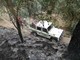 Incendio boschivo a Stellanello: al via la bonifica