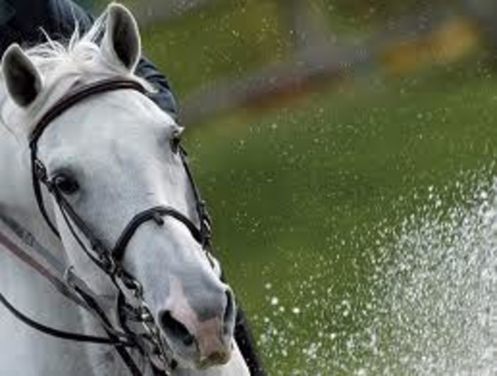Albisola Superiore,  il 22 e 23 febbraio “Cavalcando sulla spiaggia”