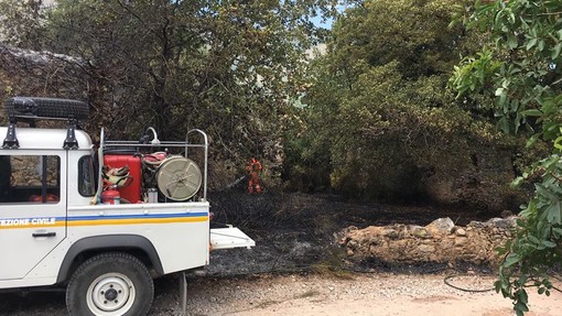 Fiamme vicino alle case: incendio boschivo a Salea d'Albenga