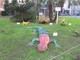 Savona, inaugurato il "Giardino Rotondo" in piazza Saffi (FOTO) Savona, inaugurato il "Giardino Rotondo" in piazza Saffi (FOTO)