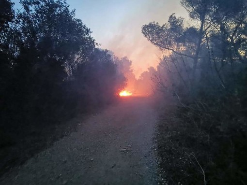 Incendio sulle alture finalesi, il sindaco Frascherelli lancia un appello ai ciclisti: "Evitate quelle zone" Incendio sulle alture finalesi, il sindaco Frascherelli lancia un appello ai ciclisti: "Evitate quelle zone"