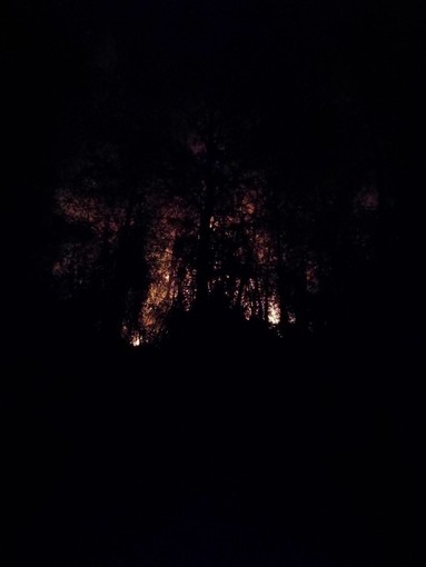 Stellanello e Mioglia, i due incendi verranno presidiati tutta la notte Stellanello e Mioglia, i due incendi verranno presidiati tutta la notte