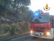 Incendio boschivo a Cenesi, sul posto vigili del fuoco e Protezione civile