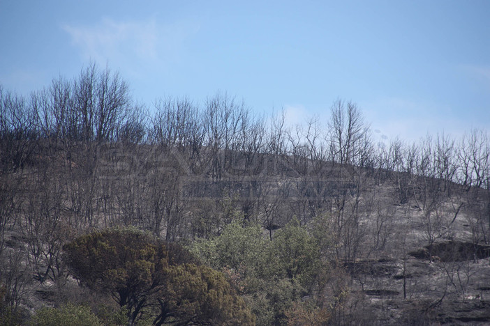 Continua a bruciare l'albenganese: oltre 400 ettari di verde distrutti, ancora diversi focolai attivi (FOTO e VIDEO)