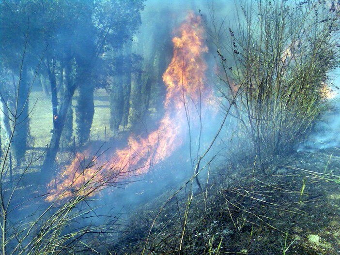 Stella: incendio di sterpaglie in mattinata, colpita un'area di 100 mq