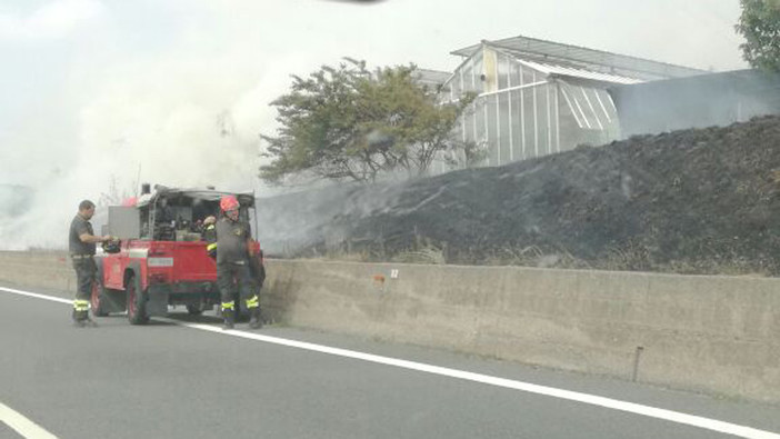 Incendio vicino all'autostrada tra Albenga e Ceriale Incendio vicino all'autostrada tra Albenga e Ceriale