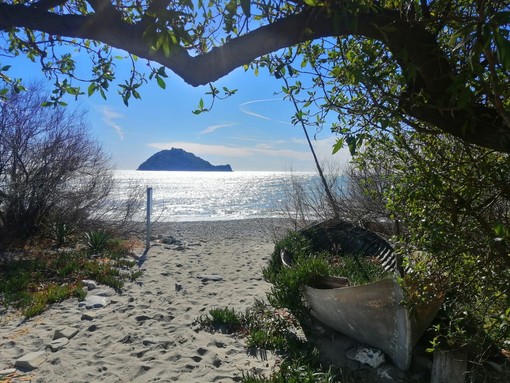 Isola Gallinara, i progetti tra turismo sostenibile e tutela ambientale Isola Gallinara, i progetti tra turismo sostenibile e tutela ambientale