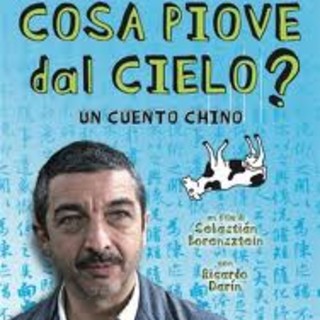 Nuovo FilmStudio: la programmazione