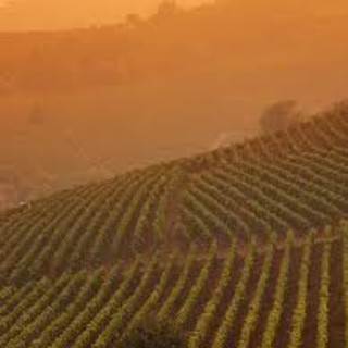 Il Turismo piemontese si è dato appuntamento ad Asti