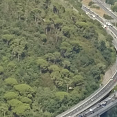 A10, scontro tra veicoli all'ingresso dell'area di servizio di Borsana: soccorsi mobilitati, code in direzione Savona