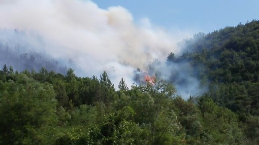 Incendio sulle alture di Quiliano sotto controllo: in corso le operazioni di bonifica, interviene l'elicottero