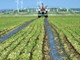 Ritardi su Psr, Mastroianni: “Accolte le richieste degli agricoltori”