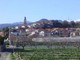Dopo anni di assenza ritorna la "Sagra du Burgu" di Bastia d'Albenga Dopo anni di assenza ritorna la "Sagra du Burgu" di Bastia d'Albenga