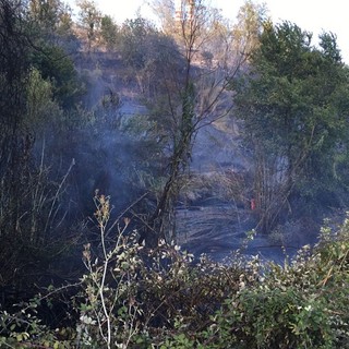 Divampa incendio a Vado Ligure in località Bossarino