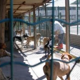 Elsa Nata Libera e Pierino per il Canile di Finale Ligure