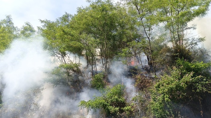 Stella, incendio nei boschi vicino alla Madonna del Salto: scatta l'intervento dei Vigili del fuoco