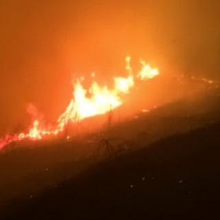 Il ponente savonese si sveglia ancora tra le fiamme, situazione preoccupante, ma più contenuta. Riaperta l'Aurelia a Capo Mimosa