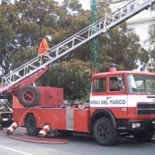 Savona: ancora interventi per il vento forte