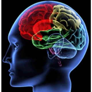 Savona: convegno sull'Ictus celebrale, prima causa di invalidità nei paesi sviluppati