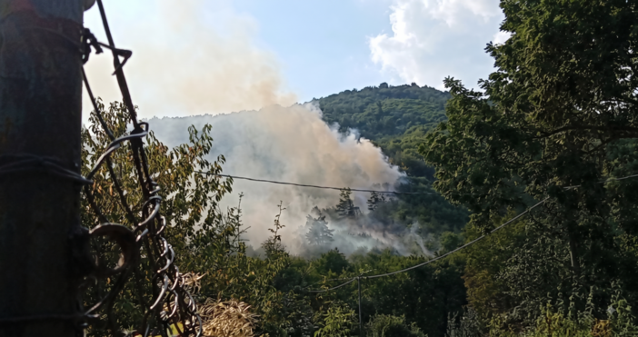 Mallare, incendio in località Montefreddo: scatta l'intervento dei vigili del fuoco e della protezione civile Mallare, incendio in località Montefreddo: scatta l'intervento dei vigili del fuoco e della protezione civile