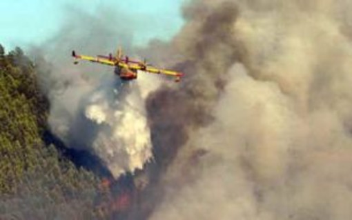 Cengio: incendio boschivo nei pressi della stazione: Intervengono Forestale e Vigili del Fuoco Cengio: incendio boschivo nei pressi della stazione: Intervengono Forestale e Vigili del Fuoco