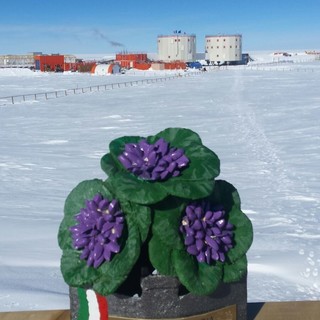 Gli studenti villanovesi in collegamento con le "Violette dell'Antartide"