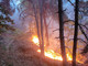 Stato di Grave pericolosità per incendi boschivi Carabinieri Forestali rafforzano i controlli Stato di Grave pericolosità per incendi boschivi Carabinieri Forestali rafforzano i controlli