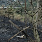 Quiliano, incendio a Cadibona: interessata una parte di zona boschiva, fiamme vicino alle abitazioni ma senza conseguenze Quiliano, incendio a Cadibona: interessata una parte di zona boschiva, fiamme vicino alle abitazioni ma senza conseguenze