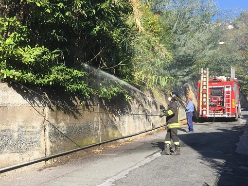 Celle Ligure: incendio sterpaglie in via Ravezza (FOTO e VIDEO)