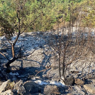 Arnasco, l'incendio boschivo danneggia le tubature dell'acquedotto: emergenza idrica nella frazione di Menosio
