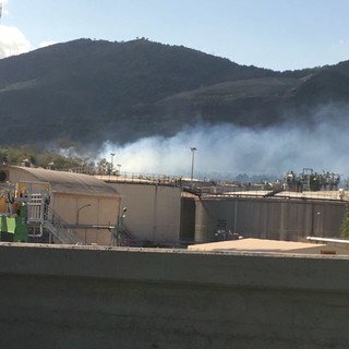 Vado Ligure: spento l'incendio in località Bossarino