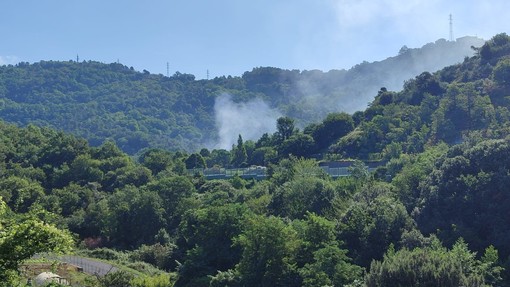 Auto in fiamme sull’A10: intervento dei Vigili del fuoco a Feglino Auto in fiamme sull’A10: intervento dei Vigili del fuoco a Feglino