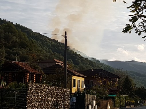 Stellanello, incendio boschivo in località Bossaneto (FOTO e VIDEO) Stellanello, incendio boschivo in località Bossaneto (FOTO e VIDEO)