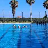 Savona, piscina Zanelli: gestione alla Rari Nantes prorogata ancora di un mese in attesa dell'esito del nuovo bando Savona, piscina Zanelli: gestione alla Rari Nantes prorogata ancora di un mese in attesa dell'esito del nuovo bando