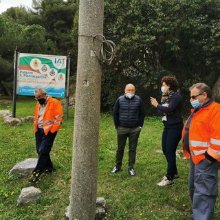 Alberi e palo elettrico a rischio: domattina lavori sul Capo di Santo Spirito