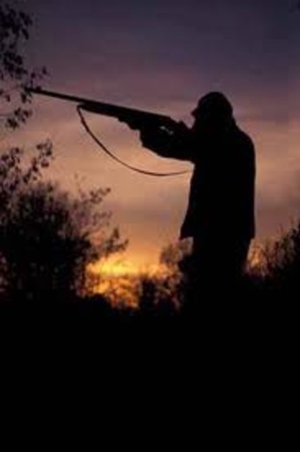 Caccia allo storno: Enpa contro Coldiretti "Sorprendenti dichiarazioni, o forse no..." Caccia allo storno: Enpa contro Coldiretti "Sorprendenti dichiarazioni, o forse no..."