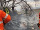 Calle, incendio nel bosco in località Cassisi, intervengono Vigili del fuoco e volontari aib