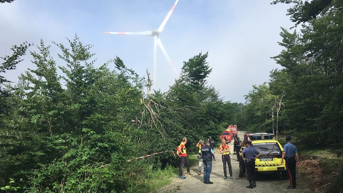 Aereo precipitato a Naso di Gatto: le immagini dell'incidente (FOTO e VIDEO) Aereo precipitato a Naso di Gatto: le immagini dell'incidente (FOTO e VIDEO)