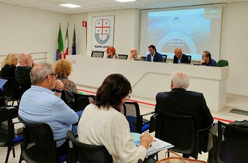 Rigassificatore, vertice in Regione con Quiliano. Il sindaco: "Esposte le problematiche e abbiamo espresso contrarietà"