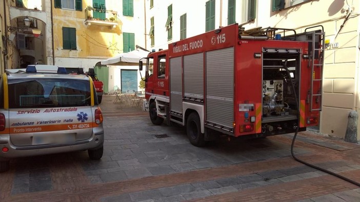 Albenga, incendio appartamento in piazza San Francesco: muoiono gli animali domestici (FOTO)