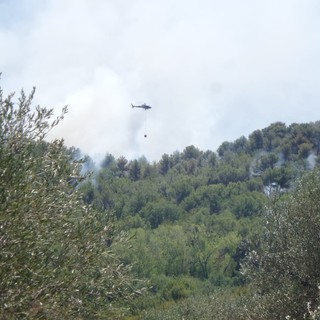 Fiamme nell'albenganese, Coldiretti: "Un disastro mai visto, gravi danni economici per tutta la Piana"