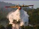 Attivato un Numero Verde antincendi boschivi: 800 - 807047. Ma altre sono le priorita' per i Vigili del Fuoco Attivato un Numero Verde antincendi boschivi: 800 - 807047. Ma altre sono le priorita' per i Vigili del Fuoco