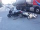 Albissola, scontro tra due moto sulla via Aurelia Albissola, scontro tra due moto sulla via Aurelia