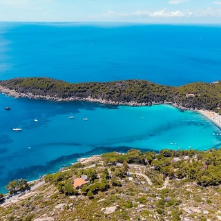 Collegamenti marittimi di traghetti e aliscafi per l' Isola d'Elba