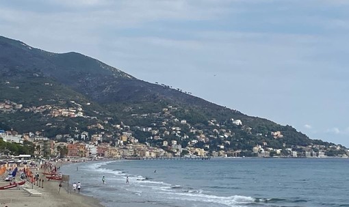 Alassio, i roghi fanno riscoprire l'importanza della cura dell'entroterra: "Pulizia di boschi e sentieri la miglior tagliafuoco" Alassio, i roghi fanno riscoprire l'importanza della cura dell'entroterra: "Pulizia di boschi e sentieri la miglior tagliafuoco"
