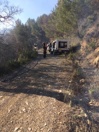 Incendio di Rollo: il bilancio è di 50 ettari di bosco distrutti