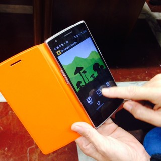 Sbarca a Sassello la prima app per i fungaioli: l'iniziativa 2.0 per gli appassionati